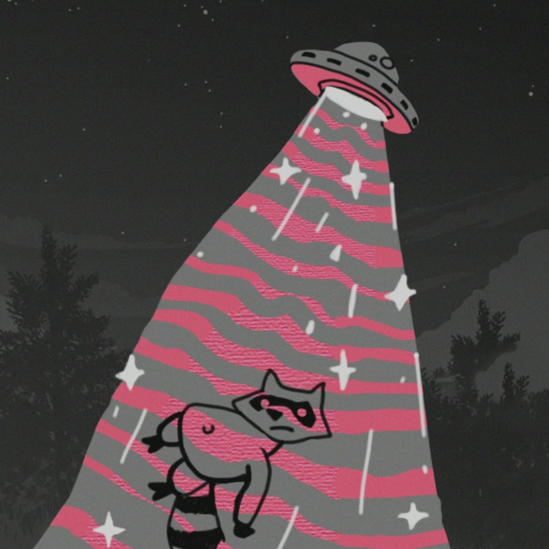 UFO takes Raccoon Knitted distressed sweater